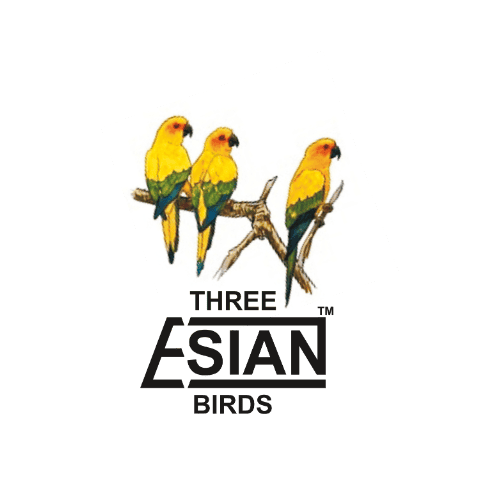 Three Esian Brand